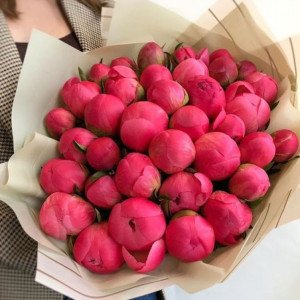 Букет 25 коралловых пионов