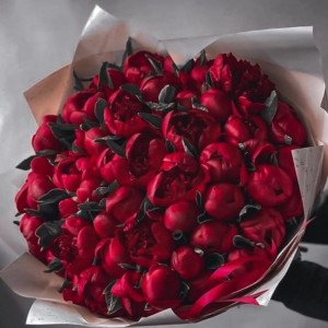 101 красный пион с упаковкой