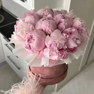 11 розовых пионов в розовой коробке