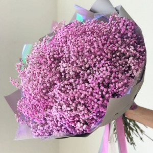 Букет розовой гипсофилы с упаковкой